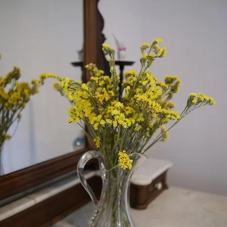 Εξοχικό σπίτι Quinta Dos Caseiros Do Paco De Giela *