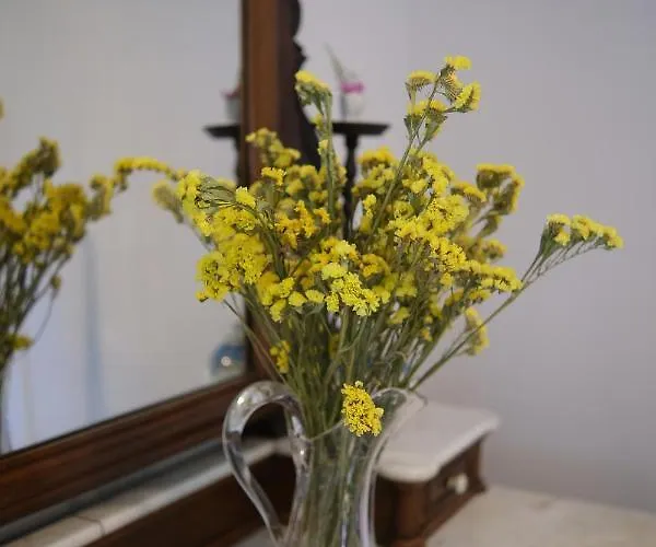 Landhaus Quinta Dos Caseiros Do Paco De Giela *